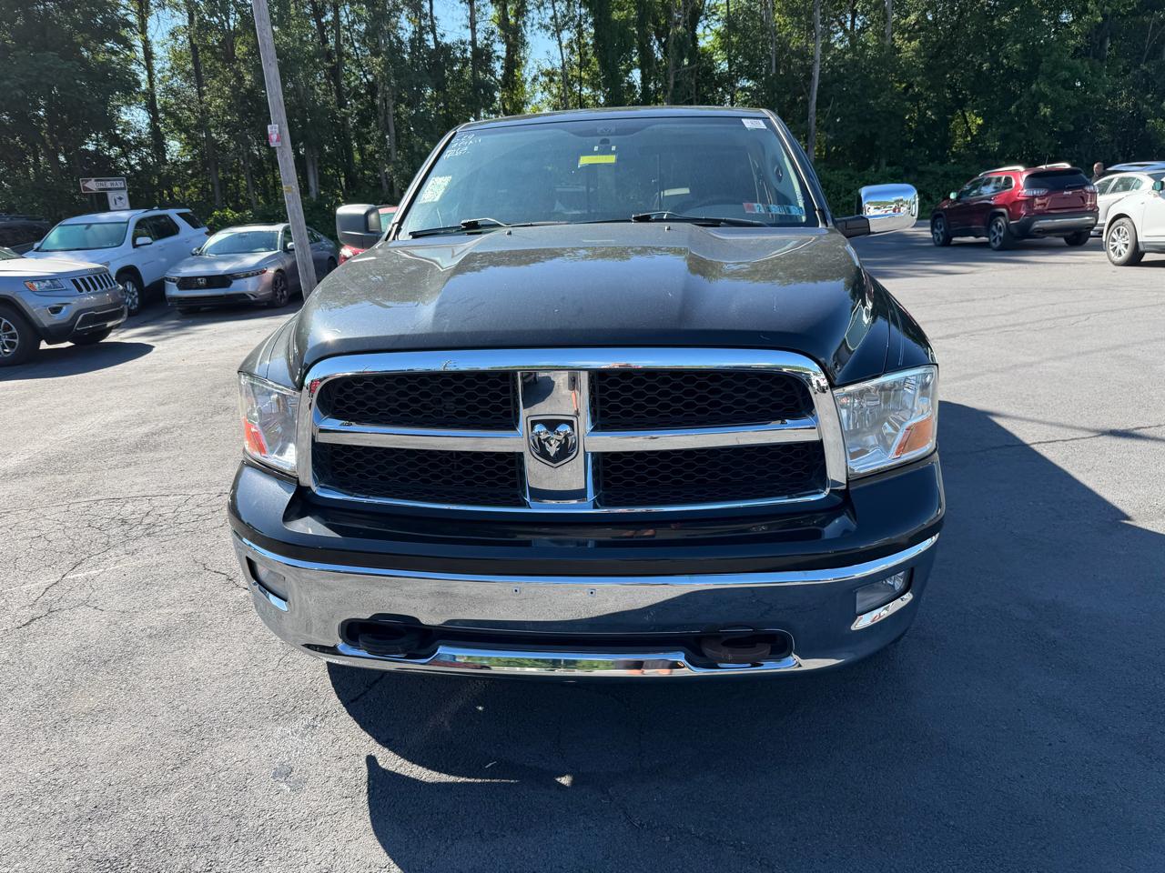 dodge ram 1500 pickup 2009 1D3HV16T29J532666 image dodge ram 1500 pickup 2009 1D3HV16T29J532666 image